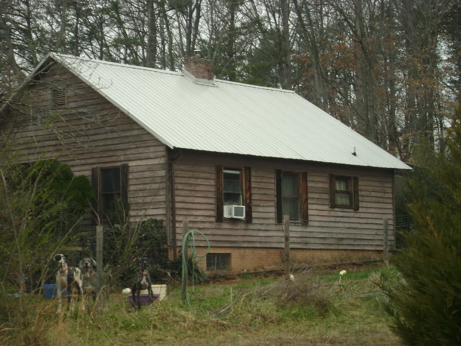 White metal roof on an old wood sided farmhouse, from a Asphalt Shingle Roof Repair job in Lawrenceburg